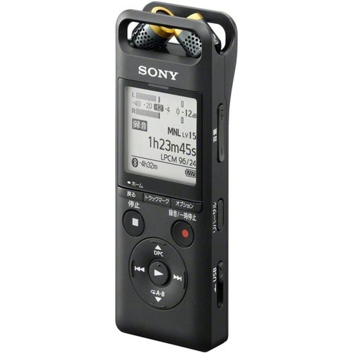 Sony linear pcm a10 - pcm-a10, ic
