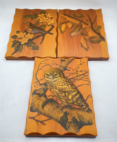 Quadro parete deirdre drake - quadro,