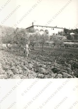 PIAN DI MUGNONE Fiesole