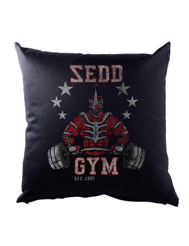 Sedd gym dekokissen power fun - sedd,