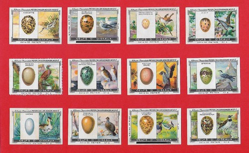 Poster stamps birds eggs - poster,