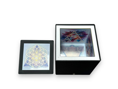 Nls box interfaccia - nls,