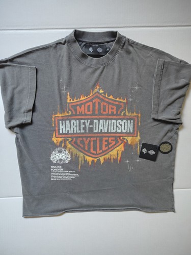 Harley davidson darc sport - harley-davidson,