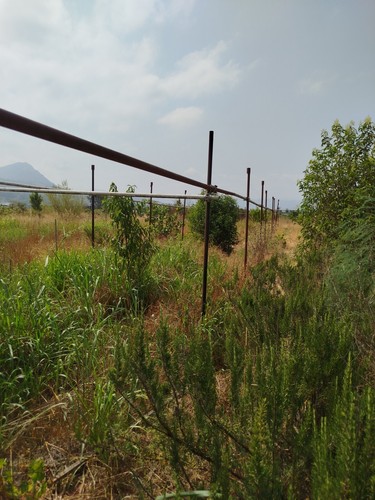 Tubi innocenti usati e - tubi, 4