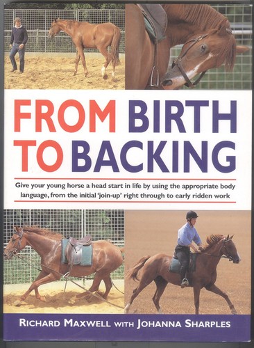 Equine care training young - equine,