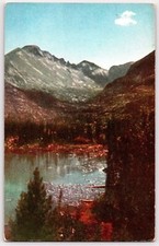 Postcard~ Longs Peak, From