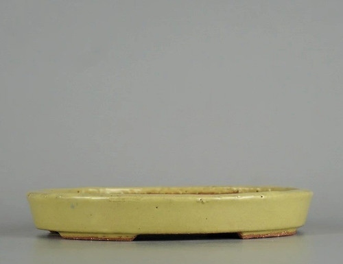 Vaso per bonsai - , giapponese