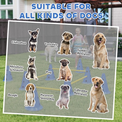 Set coni agility - di, cani