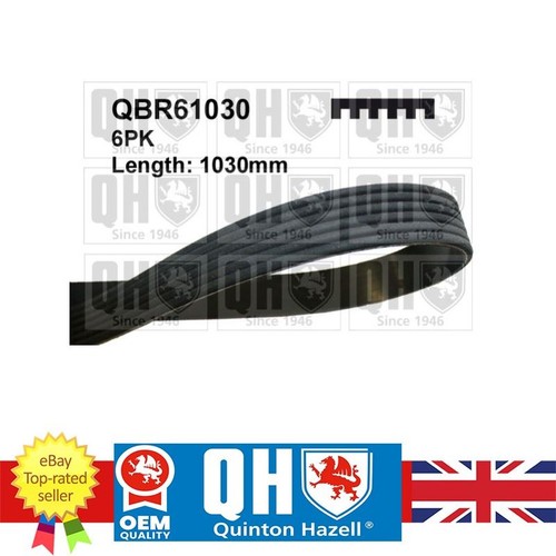 Cinghia costine per alfa - v,