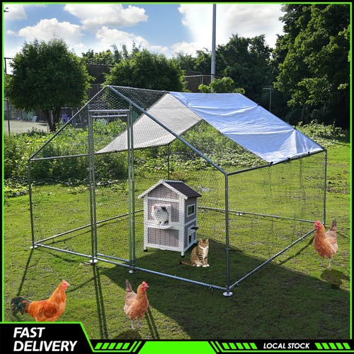 Gabbia per polli 10x10 - , piedi