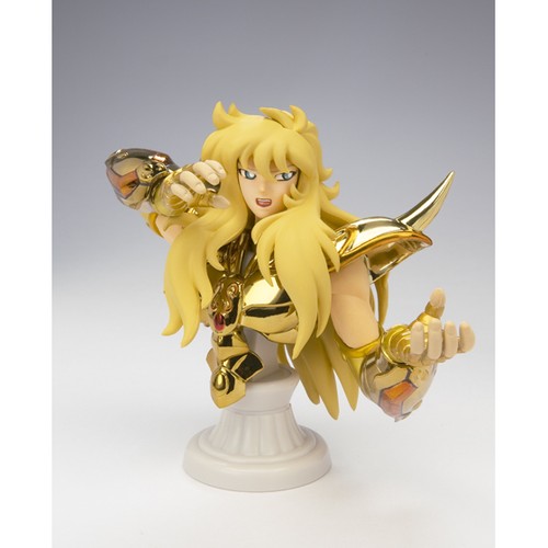 Saint seiya - saint, cloth