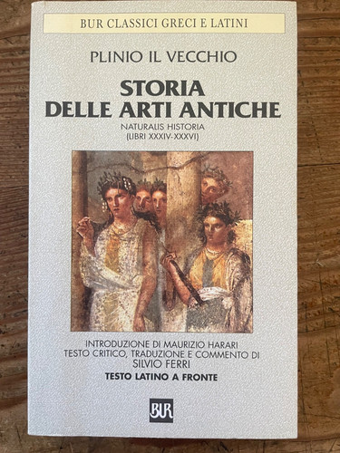 Plinio vecchio storia - storia, arti