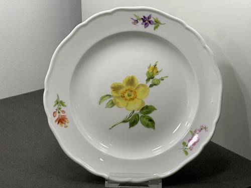 Piatto meissen porcellana rosa - meissen,