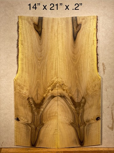 Florida legno di ulivo nero -