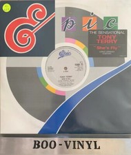 TONY TERRY - She's Fly 12"