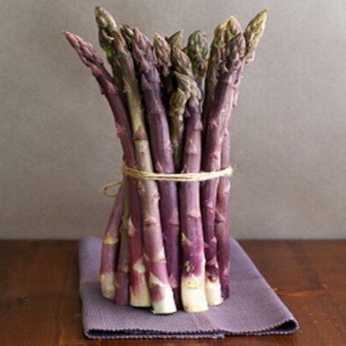 Asparagi francesi precoce - francesi,