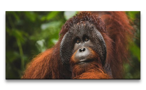 Quadro tela 120x60 cm - quadro,