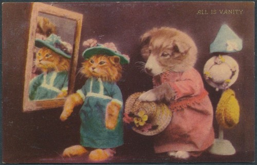 Dog cat token kitten - cat,
