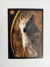 FIGURINA ANIMAL CHAMPIONS