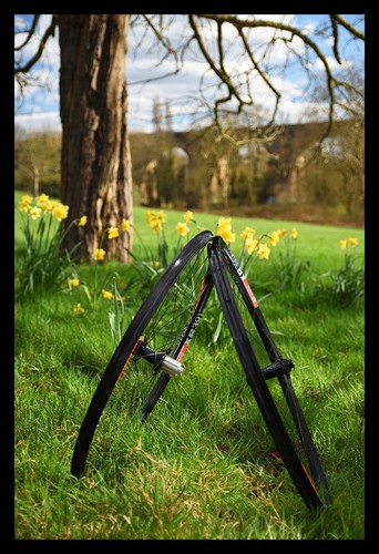 Cerchi handbuilt hope pro cl - cerchi,