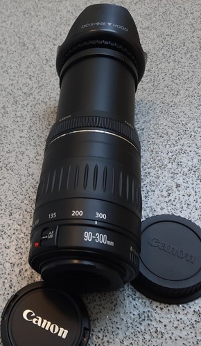 Canon 300 4 - 90-300, f/4.5-5.6