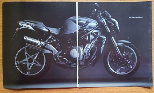 Augusta brutale - f4,
