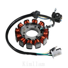 Bobina statore generatore