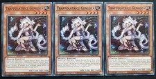 Playset 3 Carte : TRAPPOLATRICE GENLISEA Comune in Italiano SDBT-IT007 YUGIOH