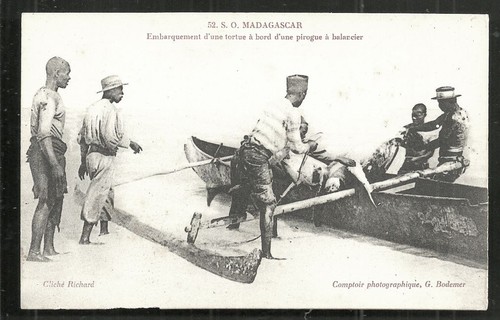 Canoa caccia tartarughe mare