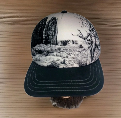 Cappello pistil berretto snap - pistil,