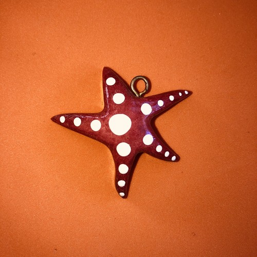 Stella marina starfish - marina,
