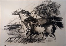 Wladimiro Tulli, Acquerello su