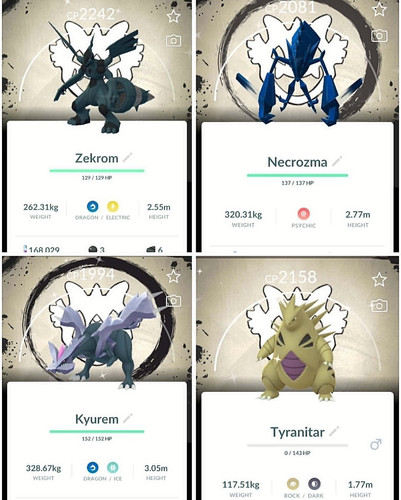 Pokémon shiny zekrom - pokémon,