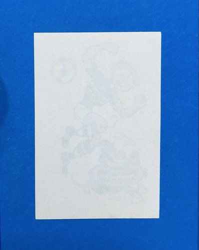 Figurina calciatori panini - figurina,