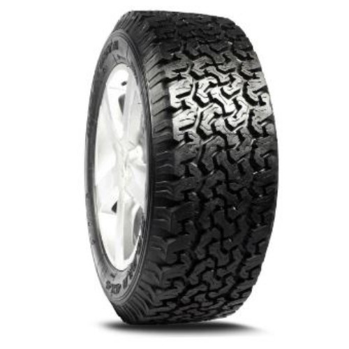 Doctor tyre malatesta koala - malatesta,