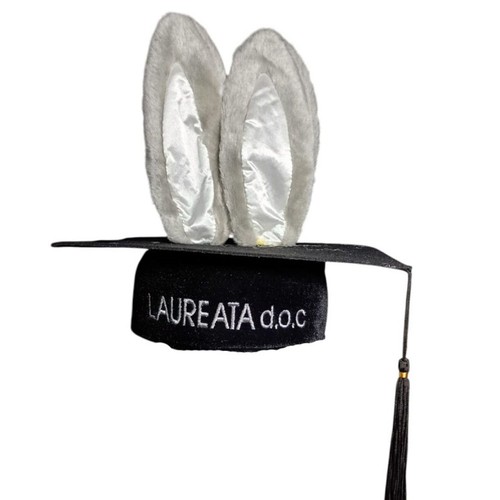 Cappello laurea goliardico con - cappello,
