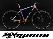 29er Pignone Velo Titan Rad