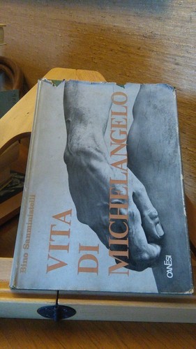 Vita michelangelo - vita, di