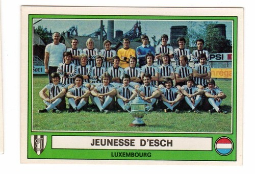 Figurina calciatori panini - figurina,