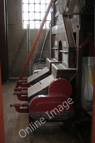 Photo 6x4 malt - photo,