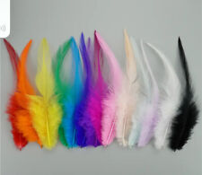 Piume di gallo di pollo al fagiano naturale da 50 pezzi 13-18 cm 