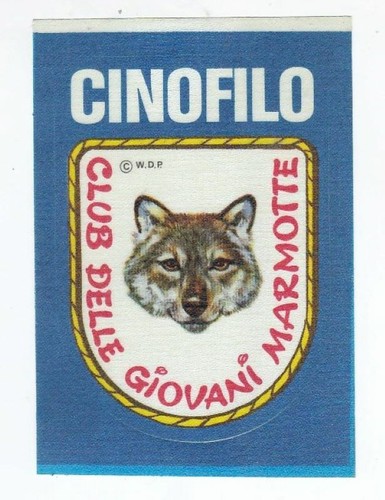 Club delle giovani - club, marmotte