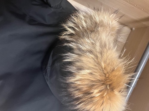 Woolrich parka giubbotto - woolrich,