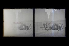 Egitto Doppia Esposizione