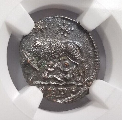 Gemelli lupo costantino ngc - gemelli, i