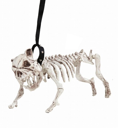 Cane scheletro con - , guinzaglio