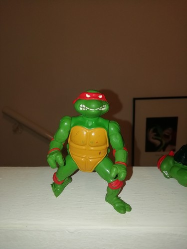 Teenage mutant ninja turtles - ninja,