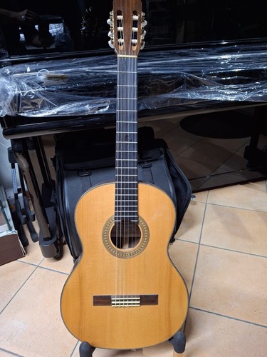 Barrios professional chitarra - barrios,