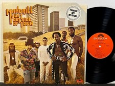 MANDRILL Just Outside Of Town