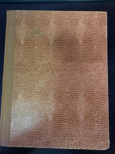 Classificatore raccoglitore - classificatore,
